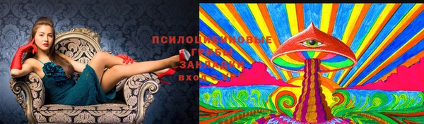 спайс Осинники